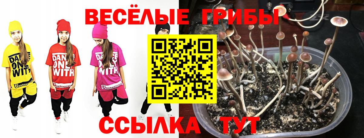 Серпухов  Галлюциногенные грибы ЛСД  Вход с VPN  где найти   Галлюциногенные грибы ЛСД 